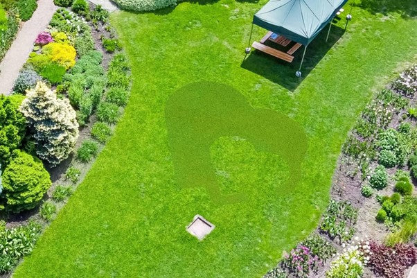 Wann darf man Rasen mähen