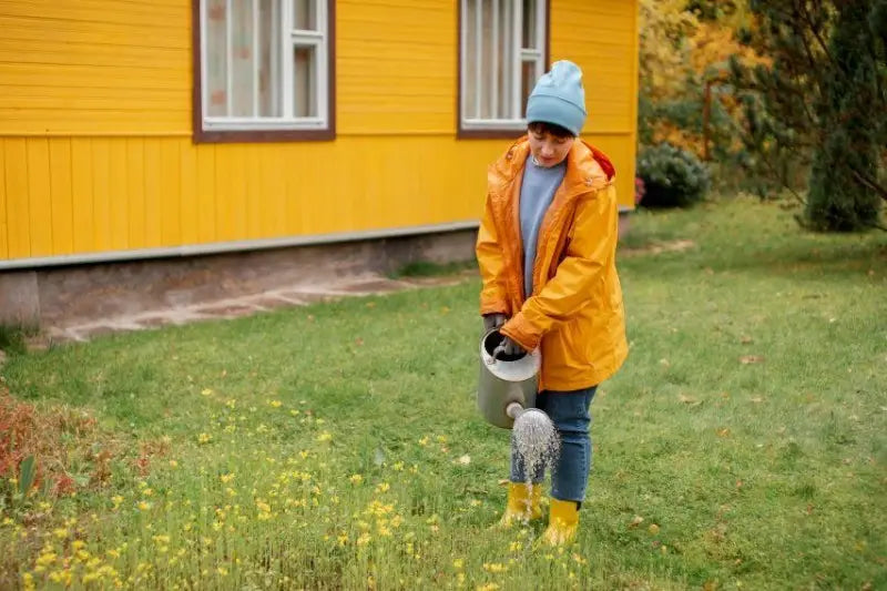 Rasen säen im Herbst – Der beste Zeitpunkt, die richtige Temperatur und wichtige Tipps