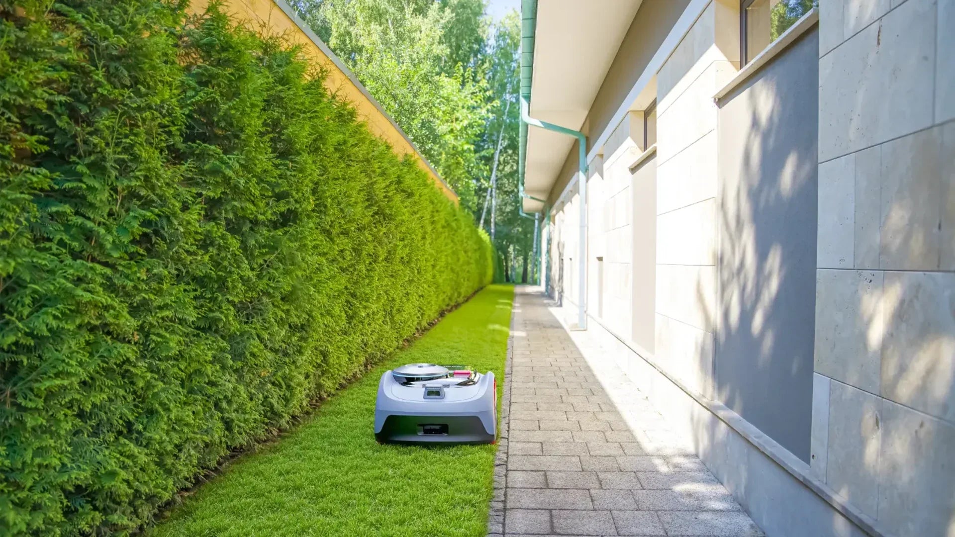 Rasen verfilzt durch Mähroboter – ein Mythos oder ein echtes Problem?