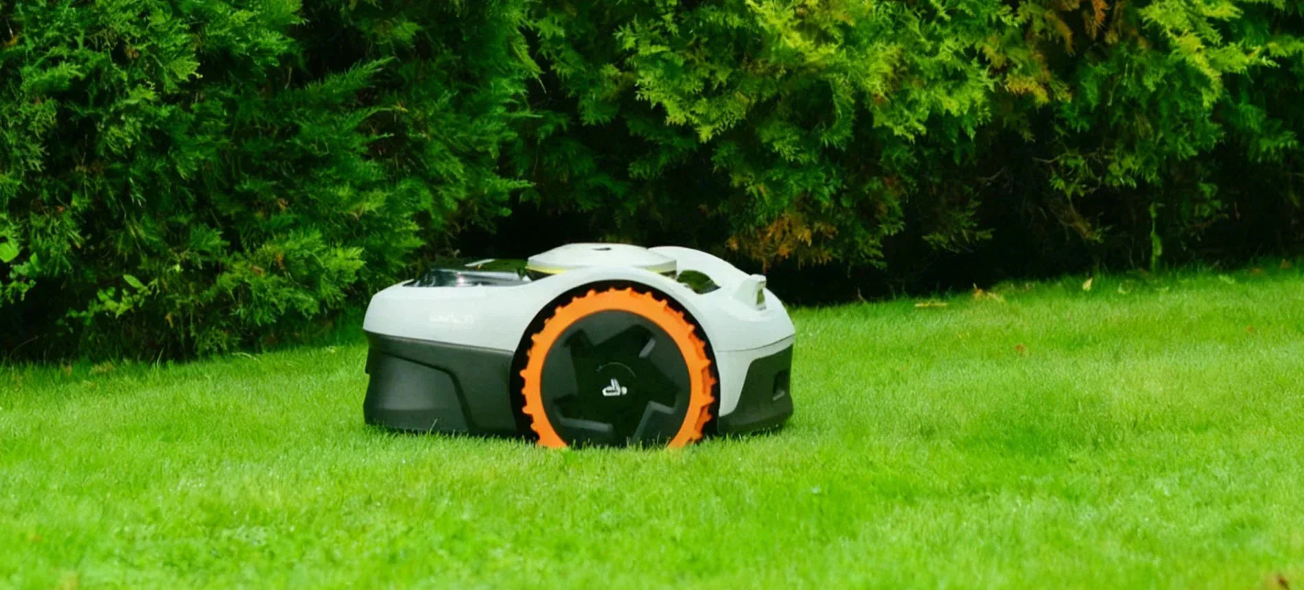 Wie oft sollte ein Mähroboter mähen