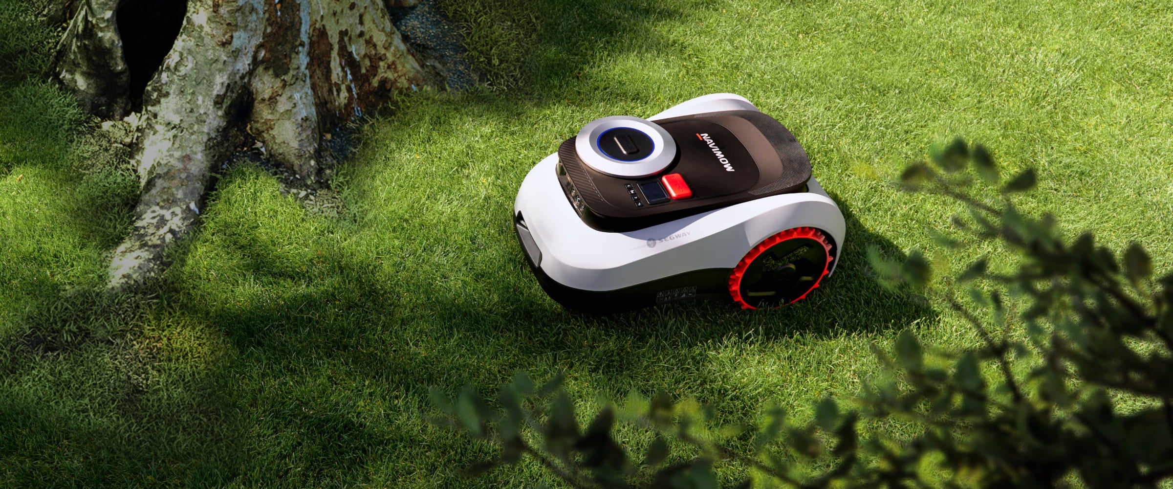 Segway Navimow Mähroboter auf dem grünen Rasen unter einem Baum.