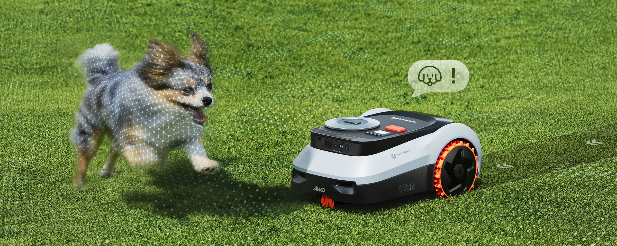 Segway Navimow Mähroboter erkennt einen rennenden Hund auf dem Rasen.