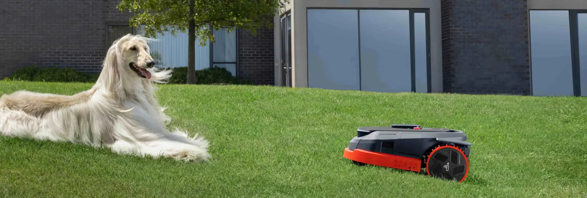 VisionFence Technology: The Vision and AI-Driven Innovation of Intelligent Mowing