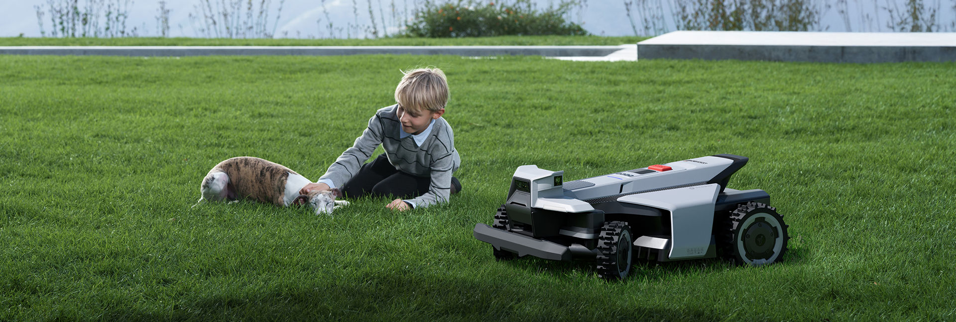 Animal Friendly Technologie: Fortschrittliche Technologie im Einklang mit der Natur für eine vernetzte Zukunft