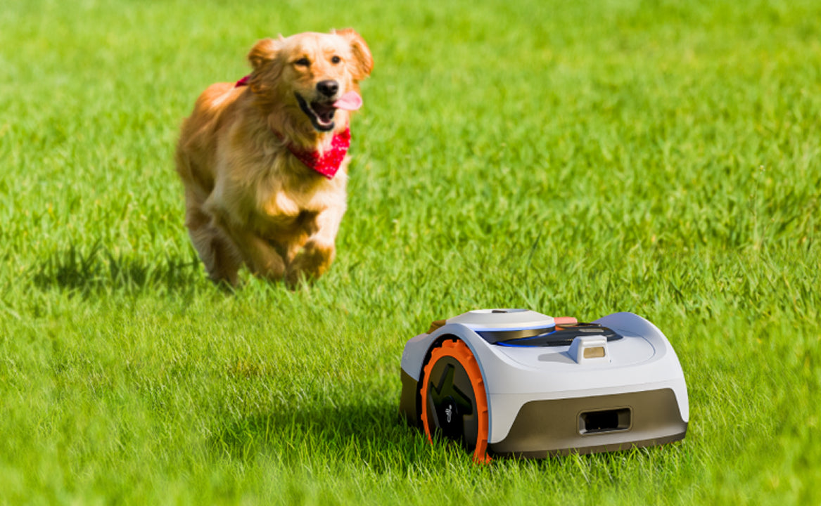 Was kostet ein Mähroboter? Preisvergleich und Empfehlungen