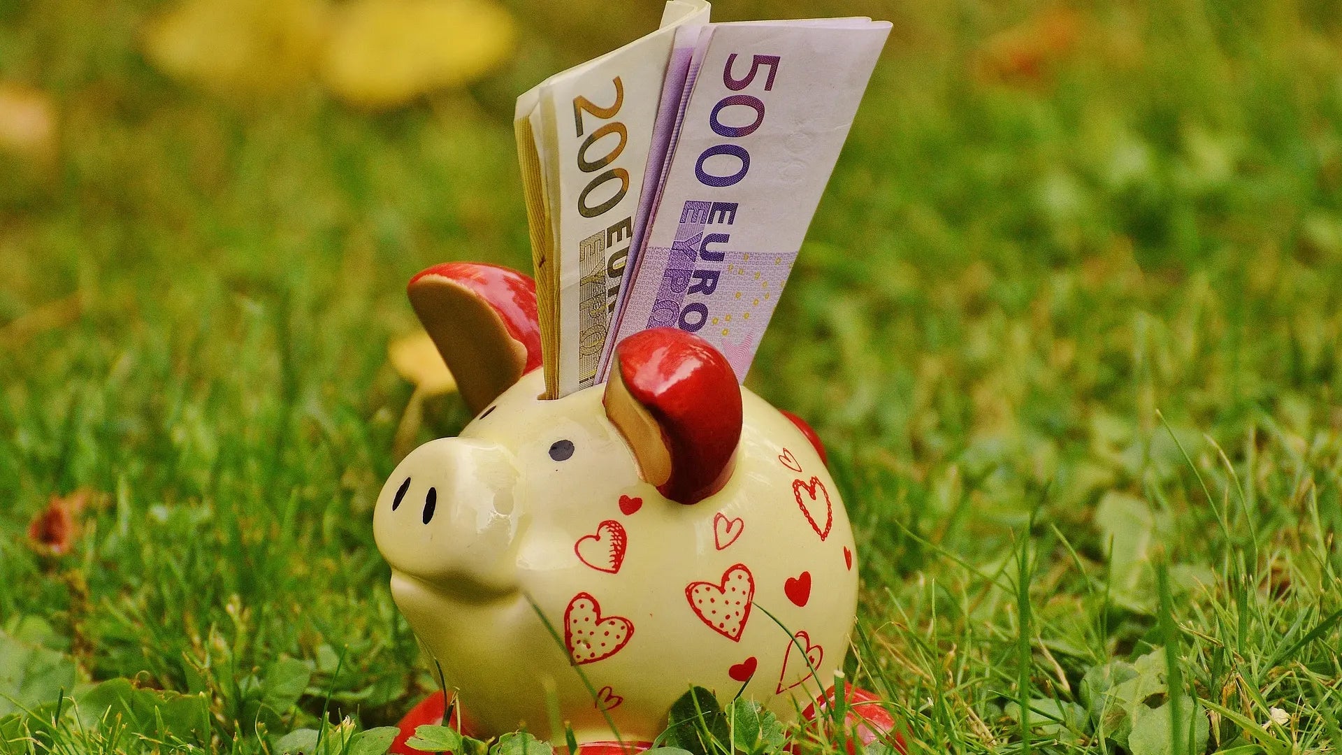 Was es wirklich kostet, einen neuen Rasen anzulegen