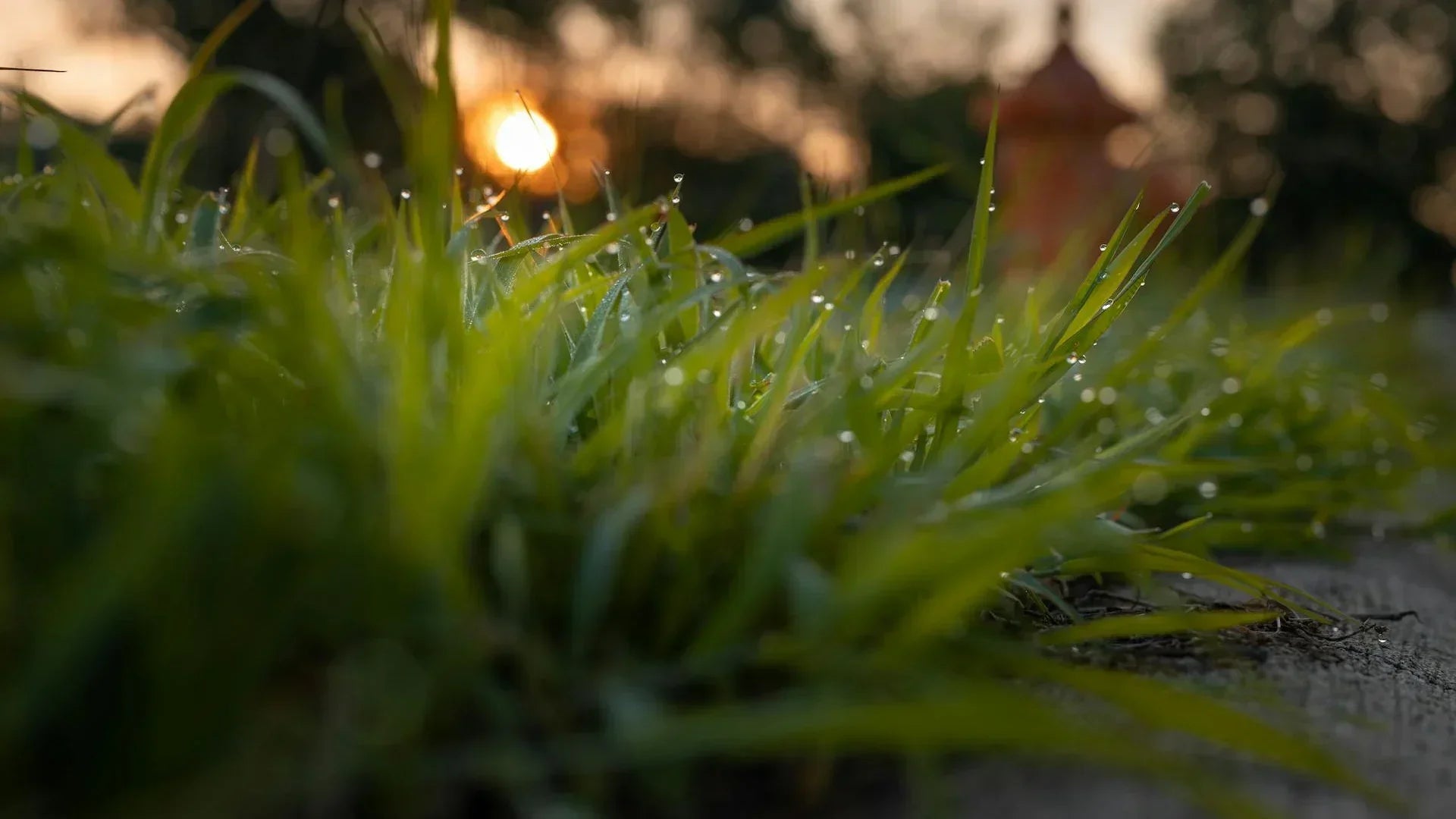 Rasen mähen: Welche Uhrzeit ist erlaubt?