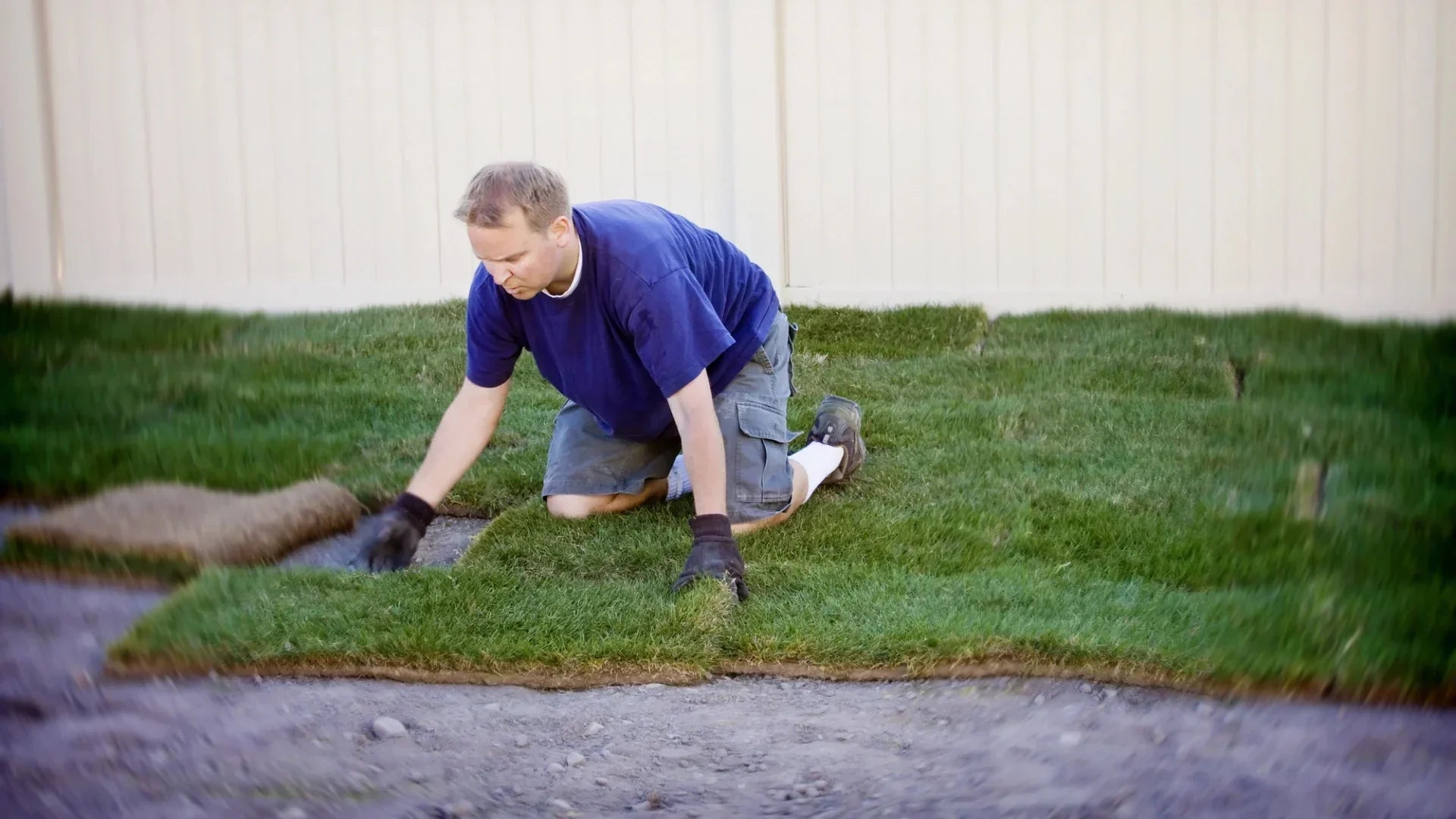 Den Rasen anlegen: Anleitung für einen gesunden Start
