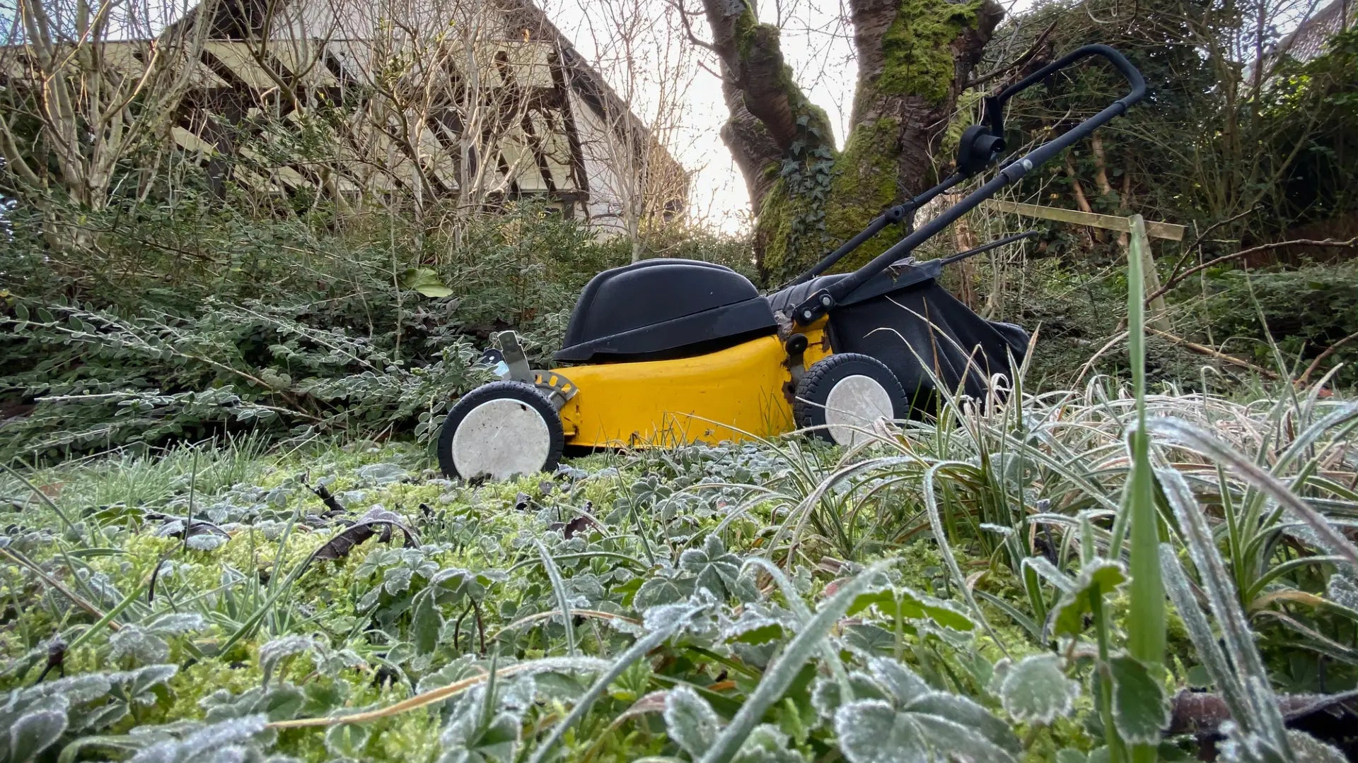 Rasen mähen bei Frost: Was schadet, was hilft – und worauf Sie achten sollten