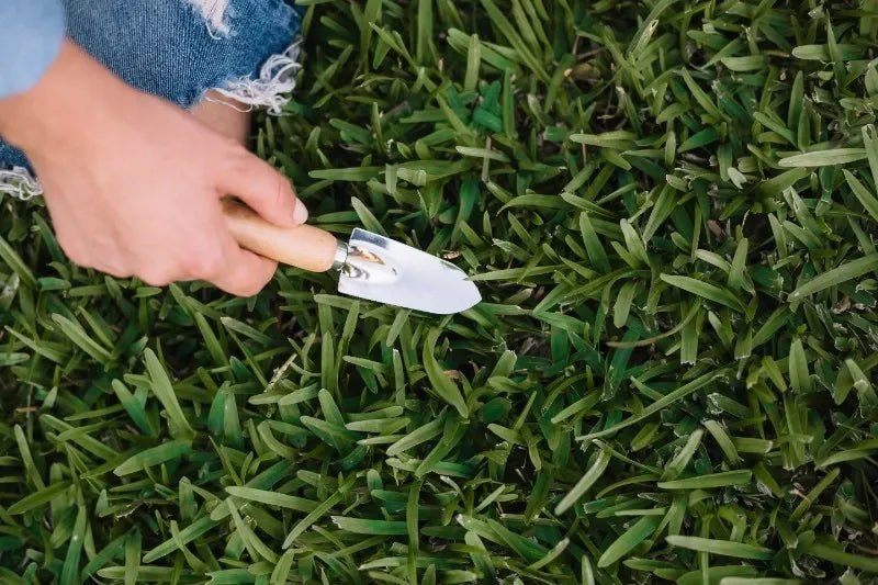 Rasen-Säen im Sommer: Tipps, Risiken & die besten Methoden