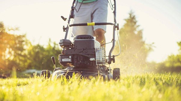 Darf man sonntags Rasen mähen? Regeln & Tipps