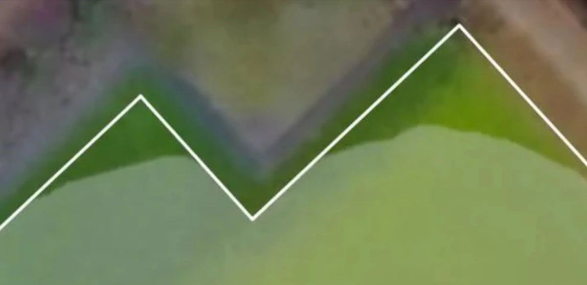 Warum lässt mein Navimow Stellen aus?