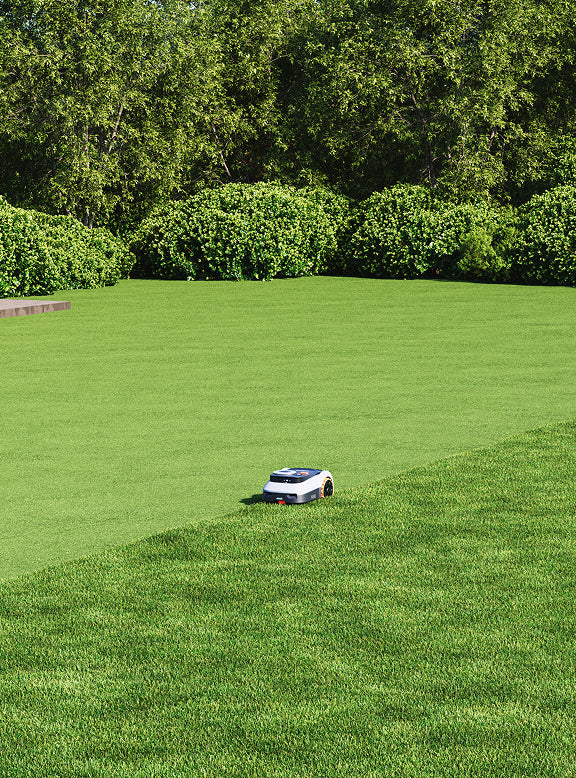 Navimow i105E Mähroboter mäht den grünen Rasen in einem Garten.