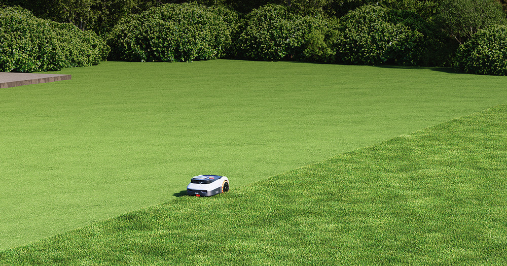 Segway Navimow i105E Mähroboter mäht einen sehr gepflegten grünen Rasen.